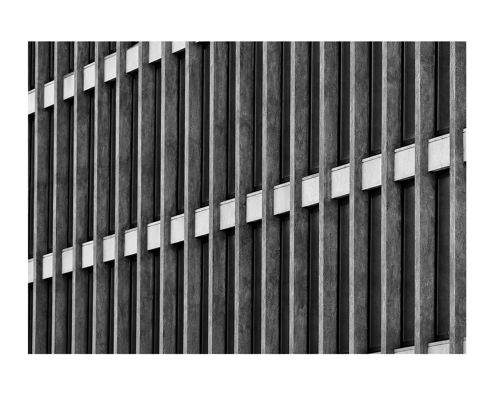 Progetto Fotografico - Scatto 4